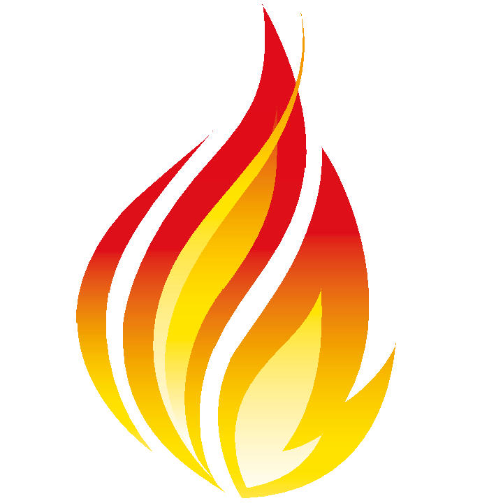 FHIR